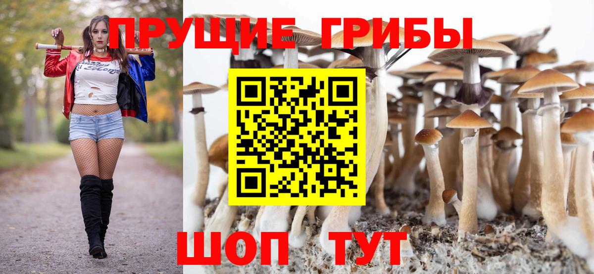 Галлюциногенные грибы MAGIC MUSHROOMS  Вход с VPN  Галлюциногенные грибы прущие грибы  Гагарин 