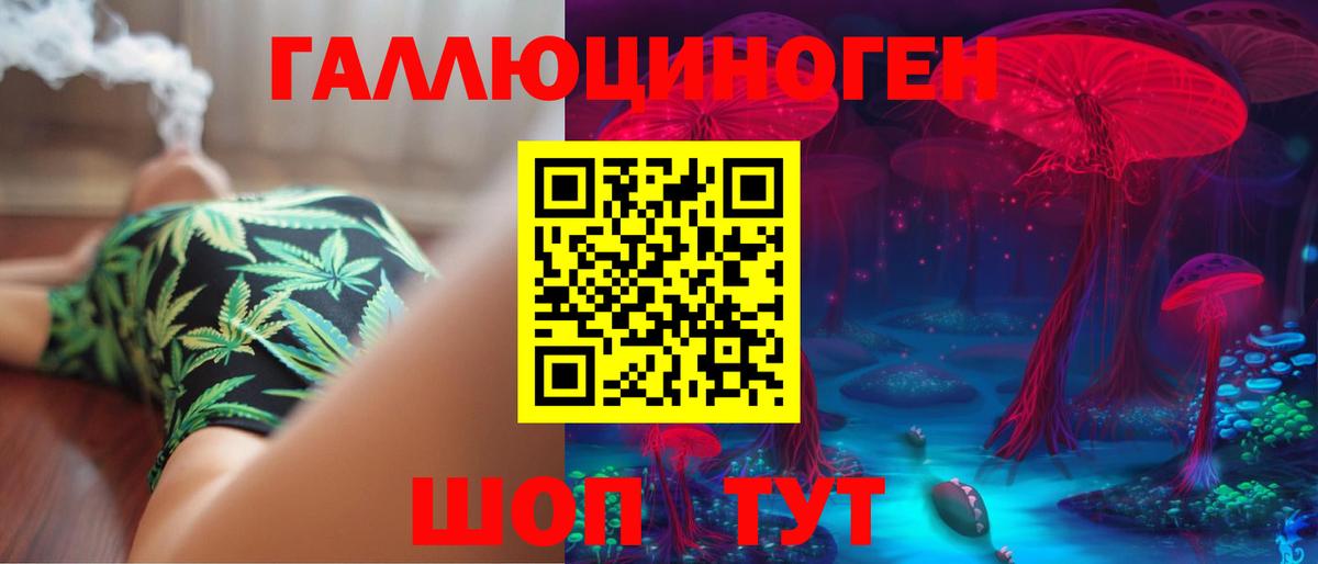 Псилоцибиновые грибы Cubensis Гагарин